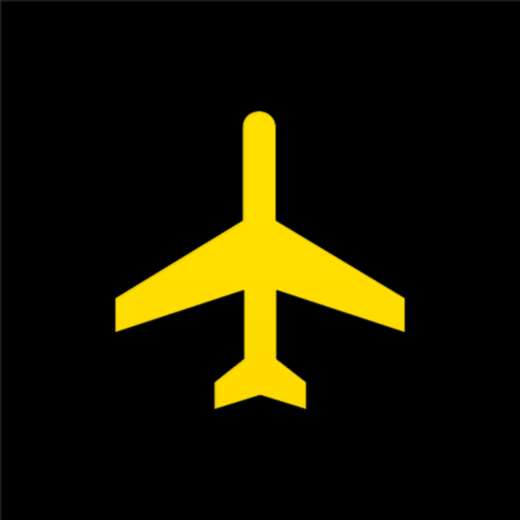 Airport CEO Icon