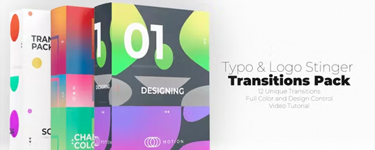 Typo & Logo Stinger Transitions Icon