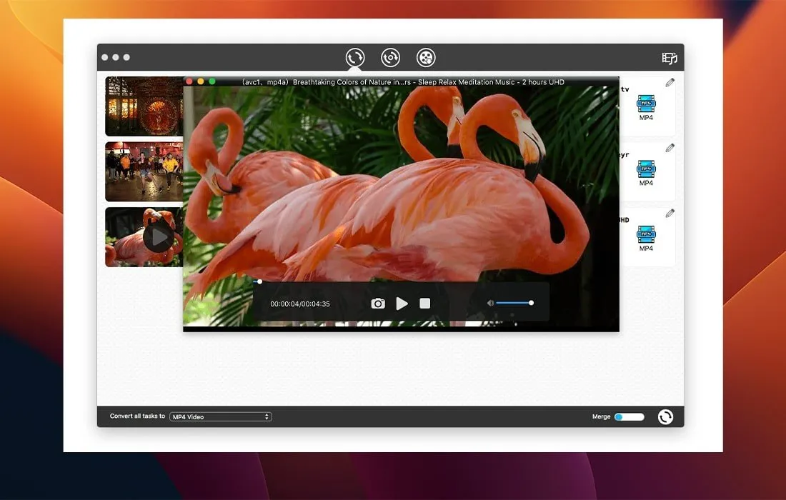 Cisdem VideoPaw screenshot