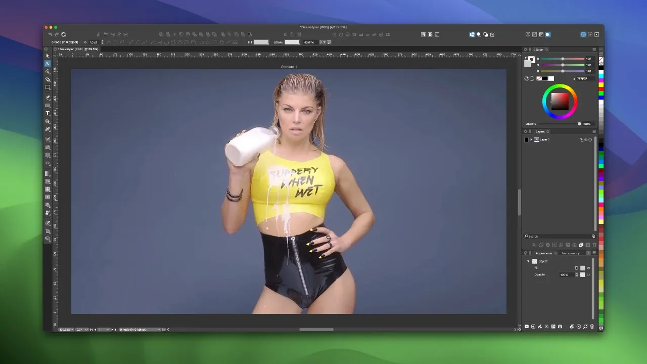 VectorStyler screenshot