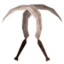 DUSK icon