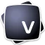 Vectoraster icon