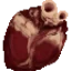 Wrought Flesh icon