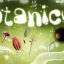 Botanicula icon