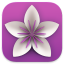 vellum icon