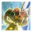 Asterix & Obelix XXL 3 – The Crystal Menhir icon