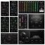 CARP Audio Everything Bundle icon