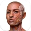 Complete Anatomy icon