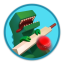 Cricket Through the Ages icon