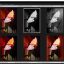 Exposure X7 icon