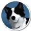 Farewell North icon