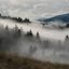 Fog icon