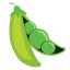 Fresh 4 icon