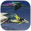 Jet Dragon icon