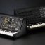 KORG MS-20 icon