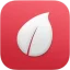 Leaf icon