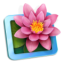 LilyView icon