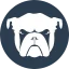 Monit icon