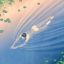 NAIAD icon