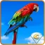 Our Beautiful Earth 8 Collector’s Edition icon