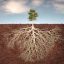 Root icon