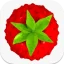 Smultron 14 – The text editor icon