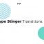Typo & Logo Stinger Transitions icon