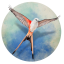 Wingspan icon