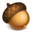Acorn icon