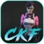 Cyber ​​Knights: Flashpoint icon