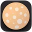Lunar Pro icon