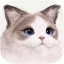 inZOI icon