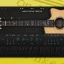Ample Sound Ample Guitar Twelve icon