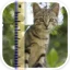 SizeMyPics icon