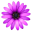 TextMate icon
