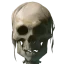 The Necromancer’s Tale icon